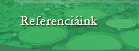 Referencia tavaink